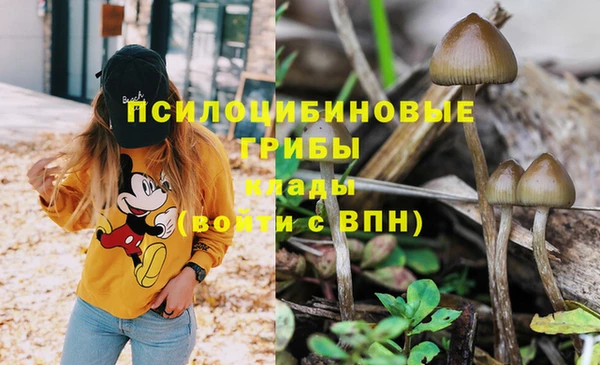 a pvp Бугульма