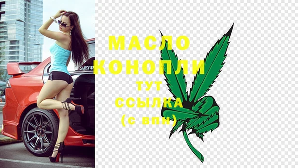 прущий лед Бородино