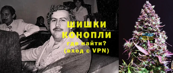 прущий лед Бородино