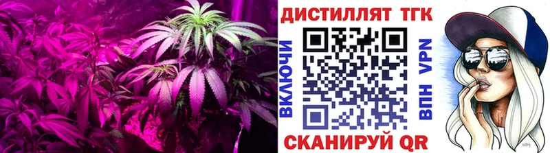 Дистиллят ТГК Wax  Торжок 