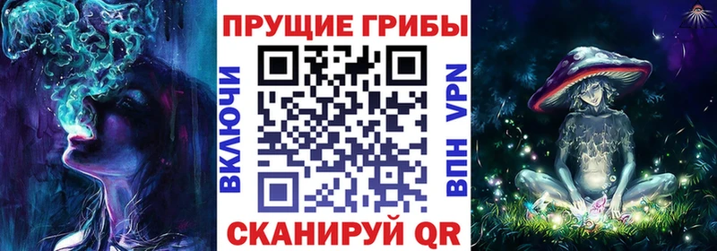 купить  сайты  Торжок  mega рабочий сайт  Псилоцибиновые грибы GOLDEN TEACHER 